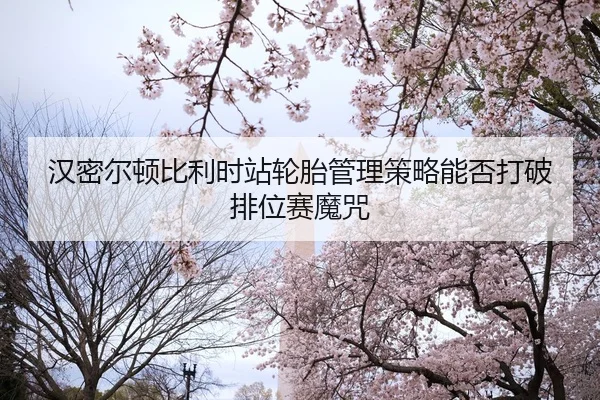 han-mi-er-dun-bi-li-shi-zhan-lun-tai-guan-li-ce-lve-neng-fou-da-po-pai-wei-sai-mo-zhou-2-598.jpg