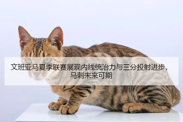 文班亚马夏季联赛展现内线统治力与三分投射进步，马刺未来可期
