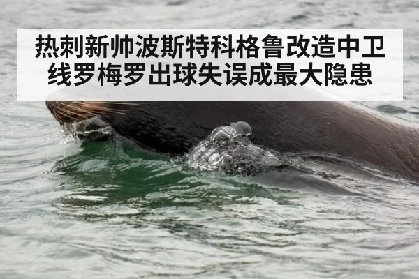 热刺新帅波斯特科格鲁改造中卫线罗梅罗出球失误成最大隐患